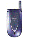 Best available price of Motorola V66i in Andorra